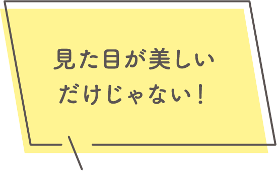 見た目が美しいだけじゃない！